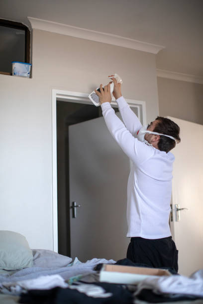 Best Black Mold Removal  in Arcola, IL