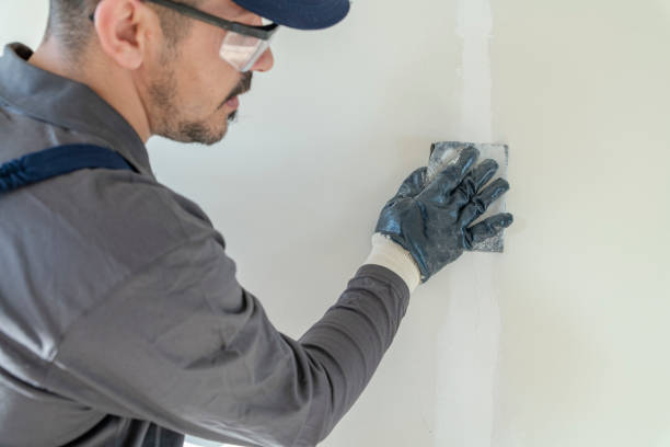 Best Mold Documentation for Insurance Claims  in Arcola, IL