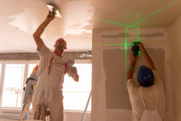 Best Environmental Consulting for Mold Prevention  in Arcola, IL