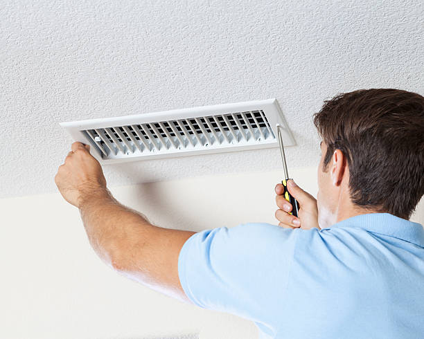Best Basement Mold Removal  in Arcola, IL