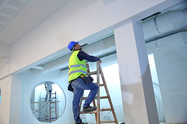 Best Crawl Space Mold Remediation  in Arcola, IL
